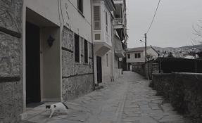photo_3_the_city.jpg